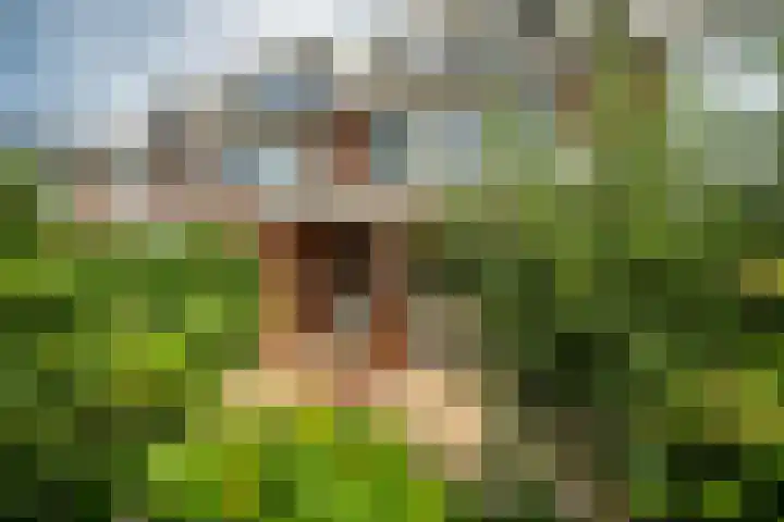 Kerklaan 7 Zoeterwoude thumbnail 14