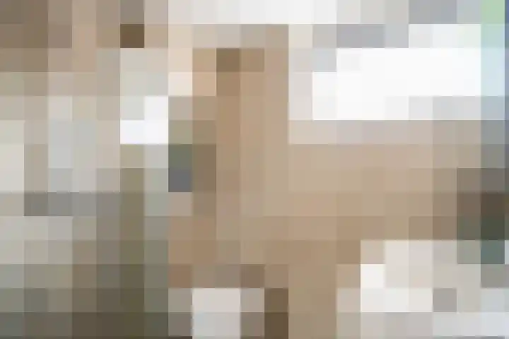 Kerklaan 7 Zoeterwoude thumbnail 33