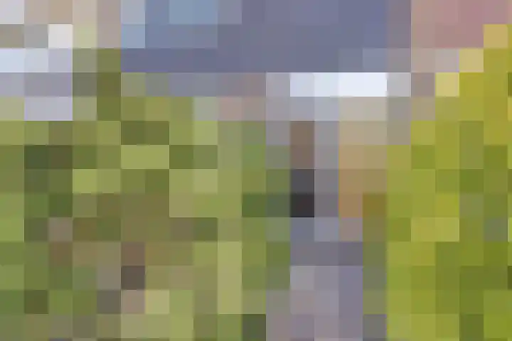 Kerklaan 74 De Lier thumbnail 30