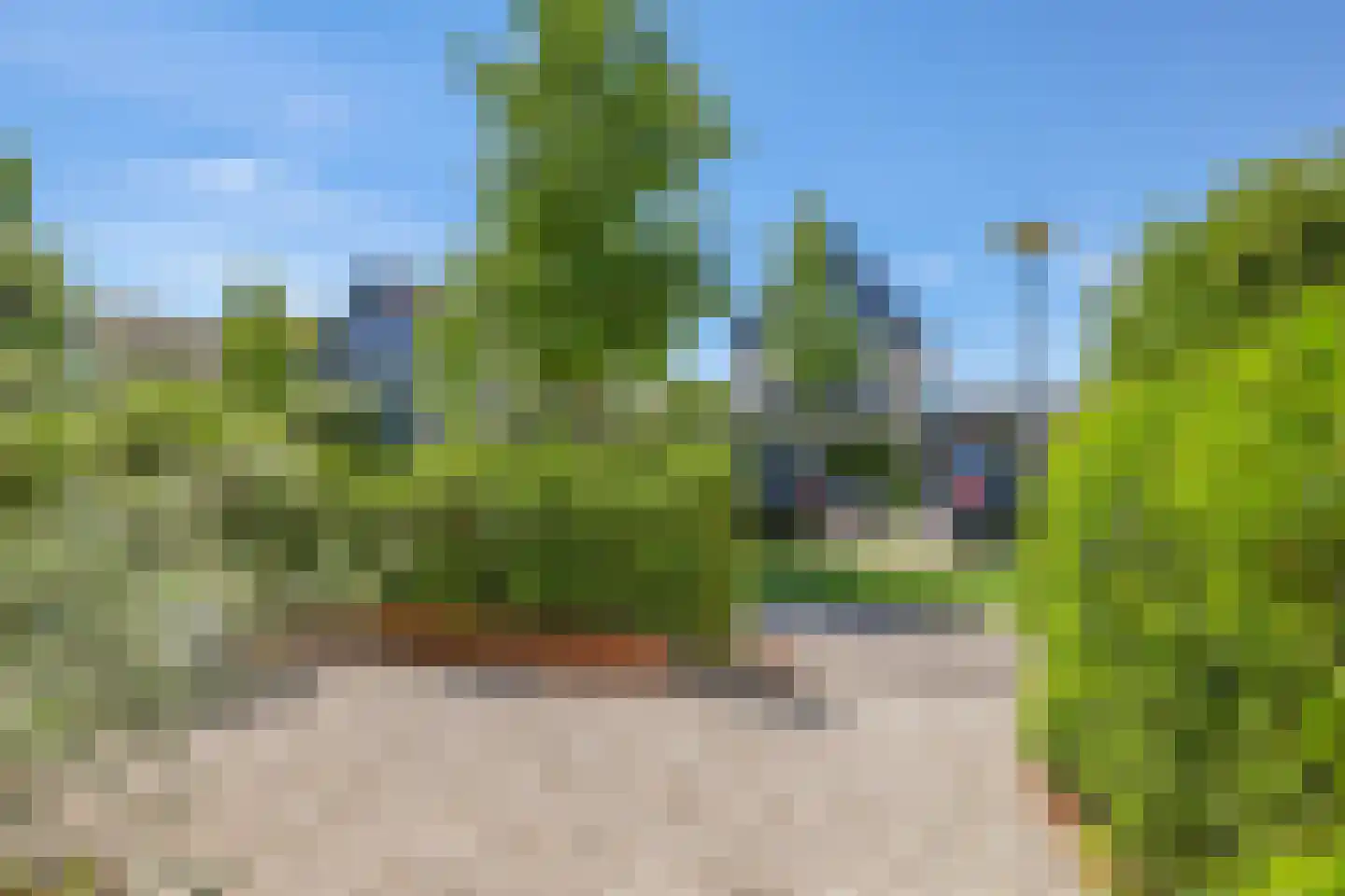 Kerklaan 75 Heteren thumbnail 10