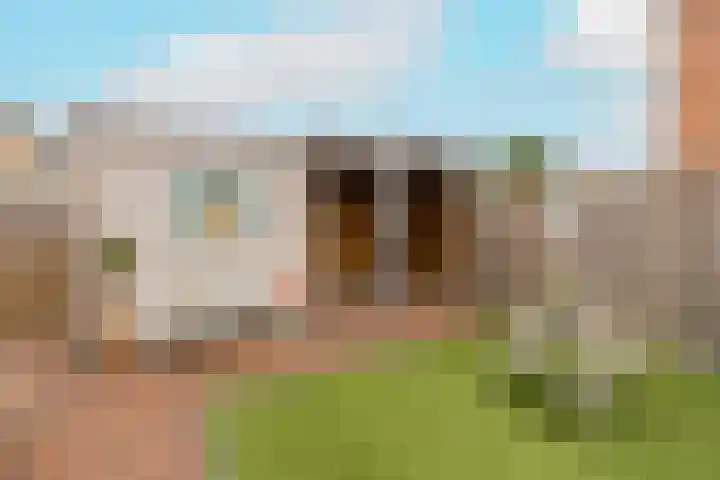 Kerklaan 8 H Wateringen thumbnail 33