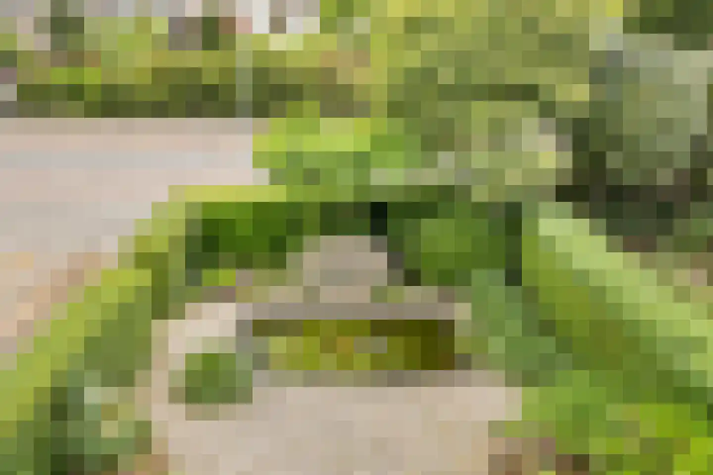 Kerklaan 85 Kortenhoef thumbnail 18
