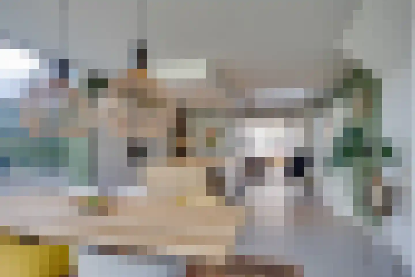 Kerklaan 87 De Bilt thumbnail 22