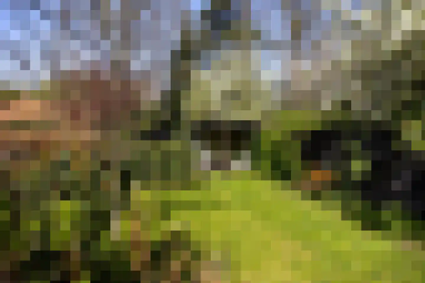 Kerklaan 87 De Bilt thumbnail 25