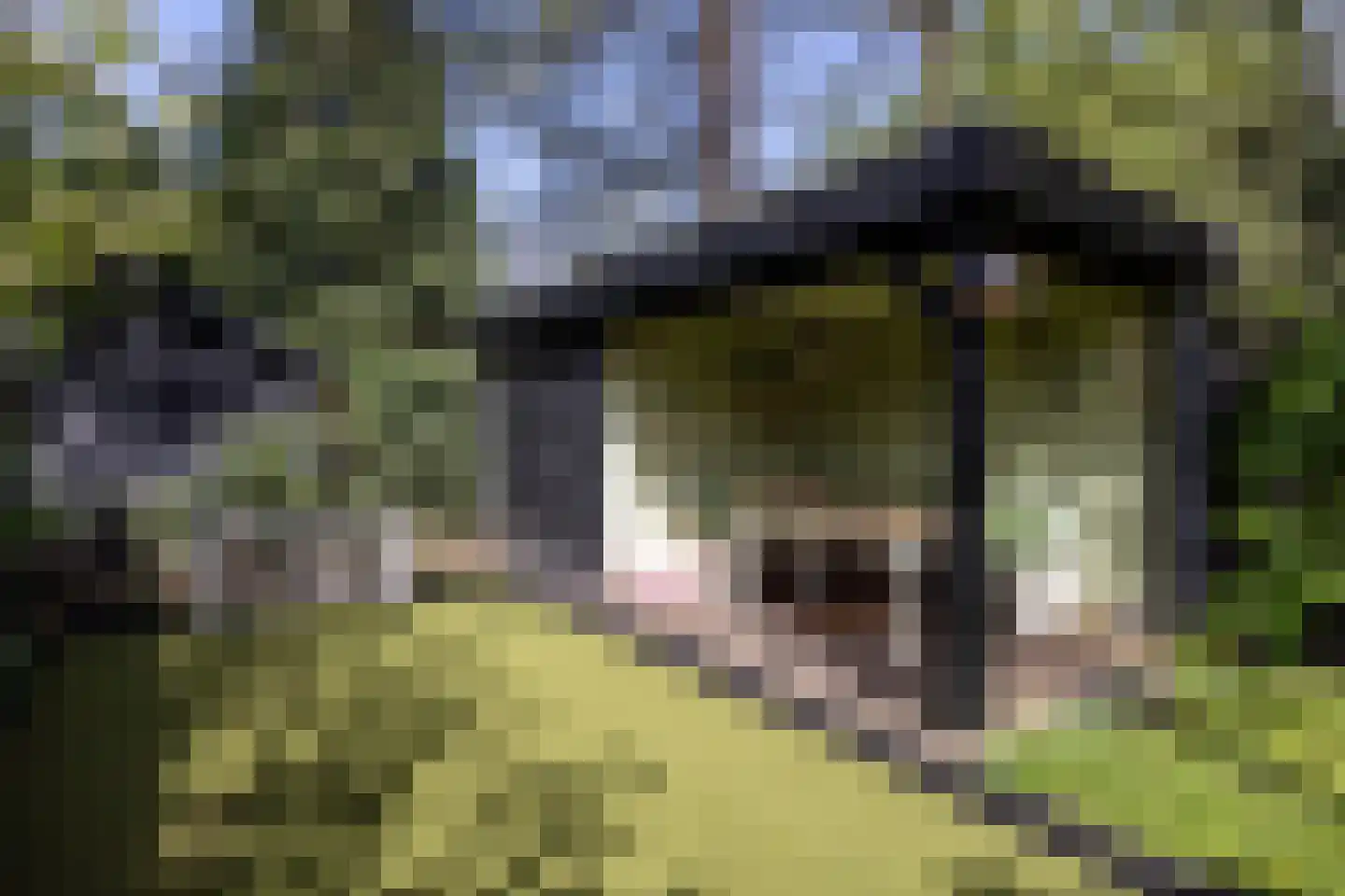 Kerklaan 87 De Bilt thumbnail 27