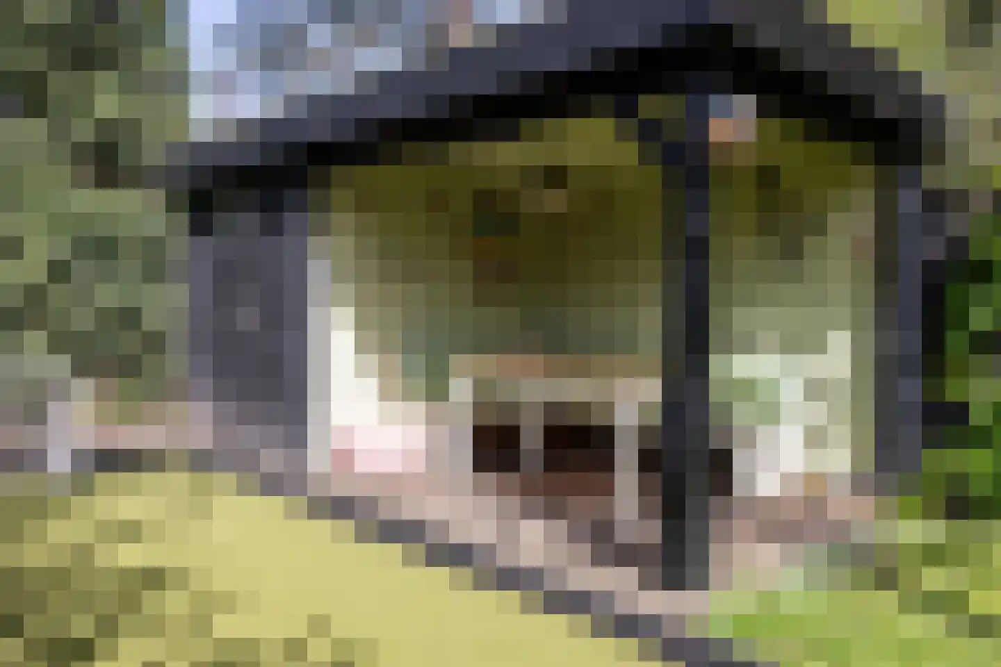 Kerklaan 87 De Bilt thumbnail 28