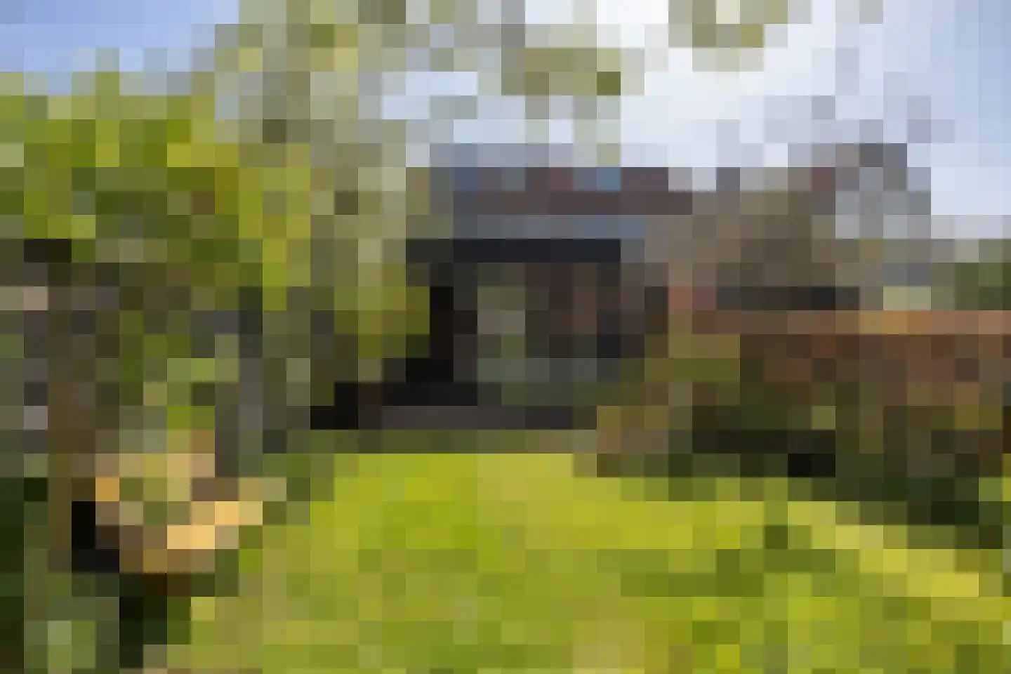 Kerklaan 87 De Bilt thumbnail 30