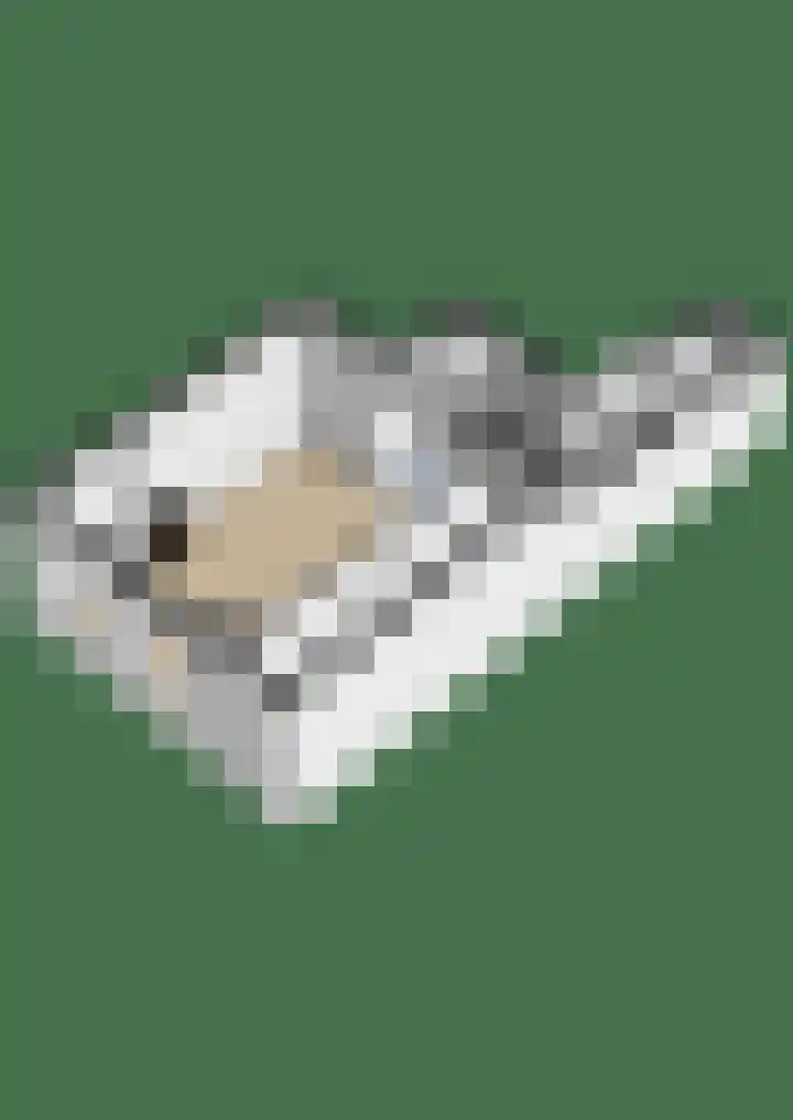 Kerklaan 87 Groningen thumbnail 30