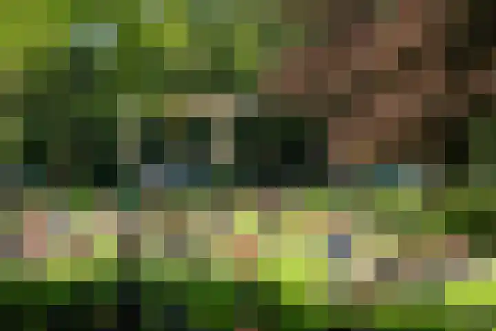 Kerklaan 87 Groningen thumbnail 35