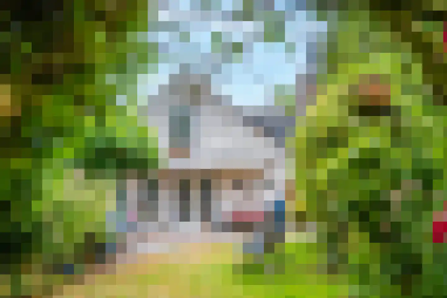 Kerklaan 9 in Heesselt