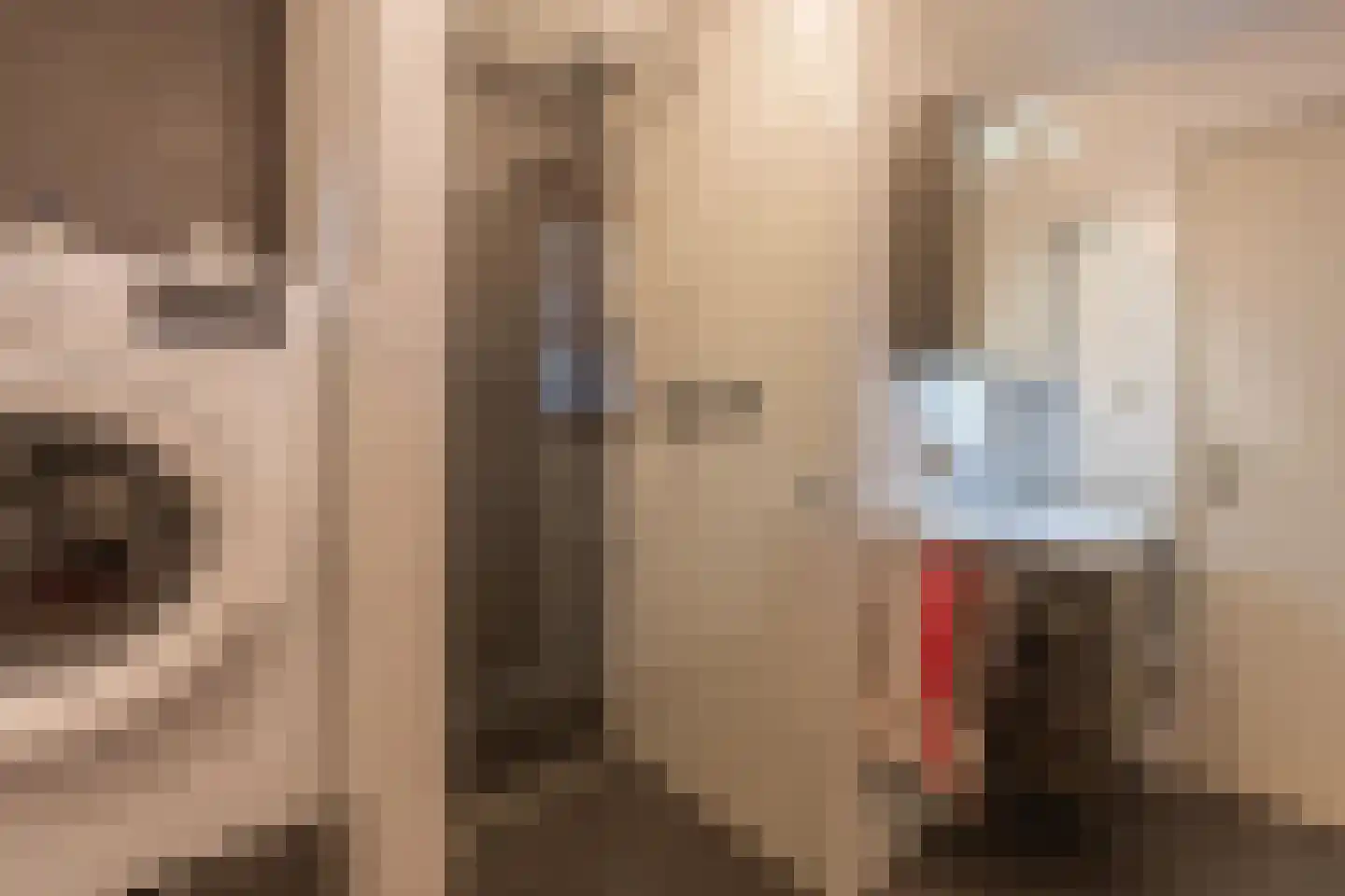 Kerklaan 9 Heesselt thumbnail 22