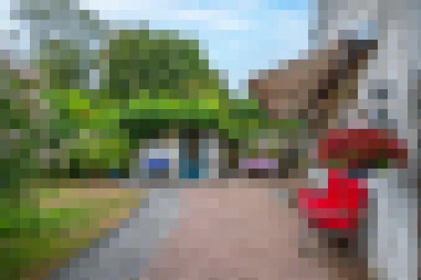 Kerklaan 9 Heesselt thumbnail 26