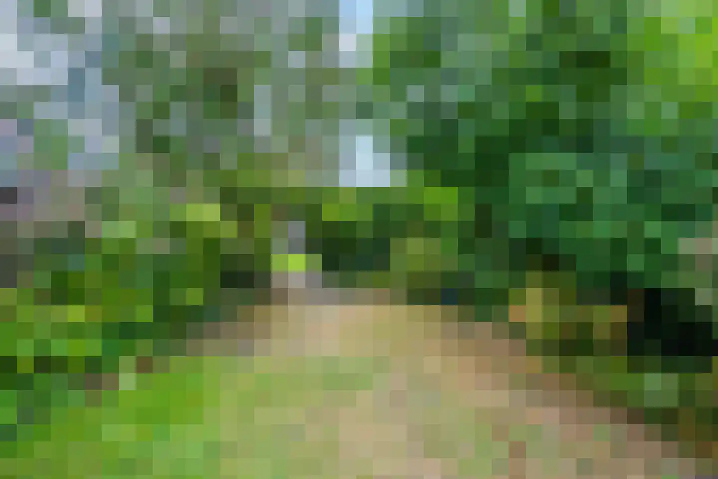 Kerklaan 9 Heesselt thumbnail 30