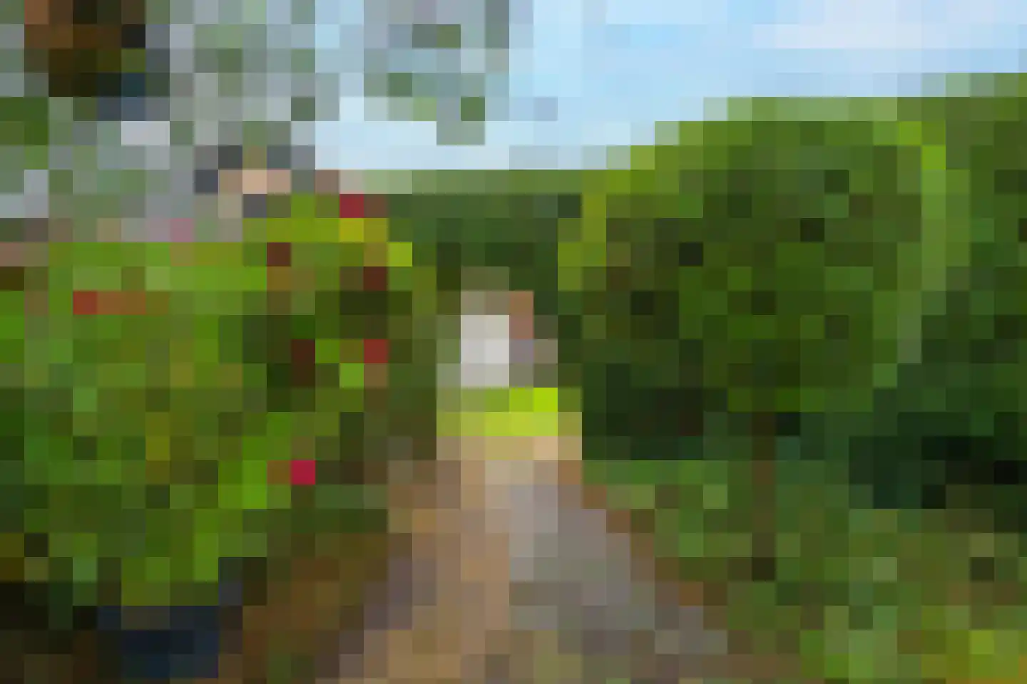 Kerklaan 9 Heesselt thumbnail 33