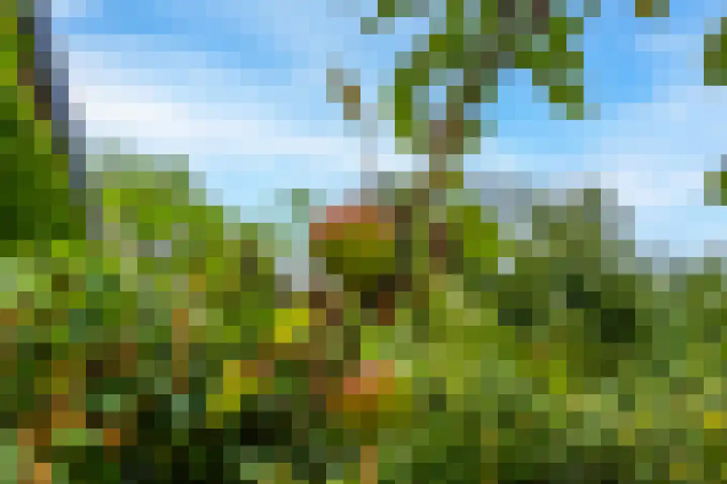 Kerklaan 9 Heesselt thumbnail 39