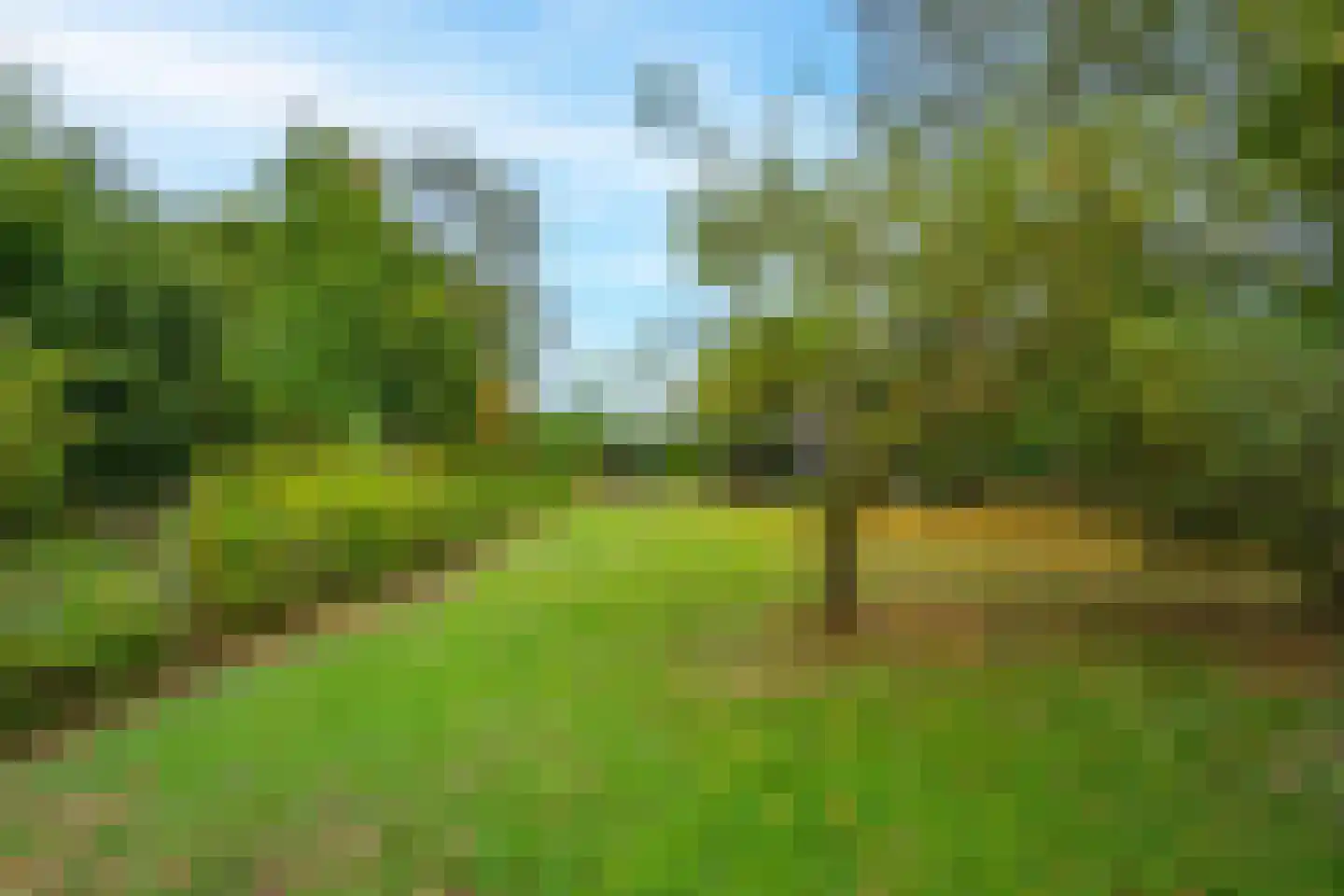 Kerklaan 9 Heesselt thumbnail 40