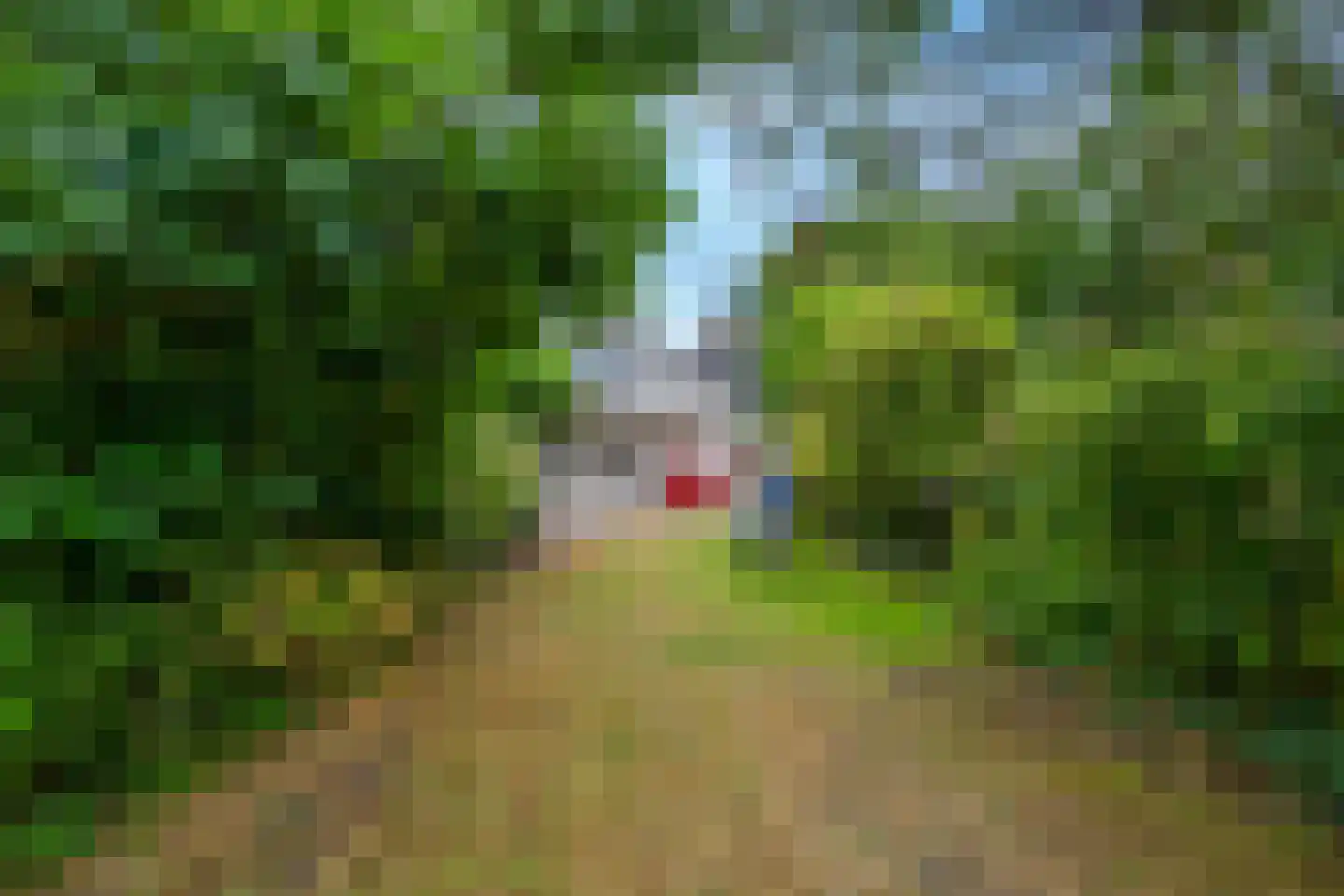 Kerklaan 9 Heesselt thumbnail 43