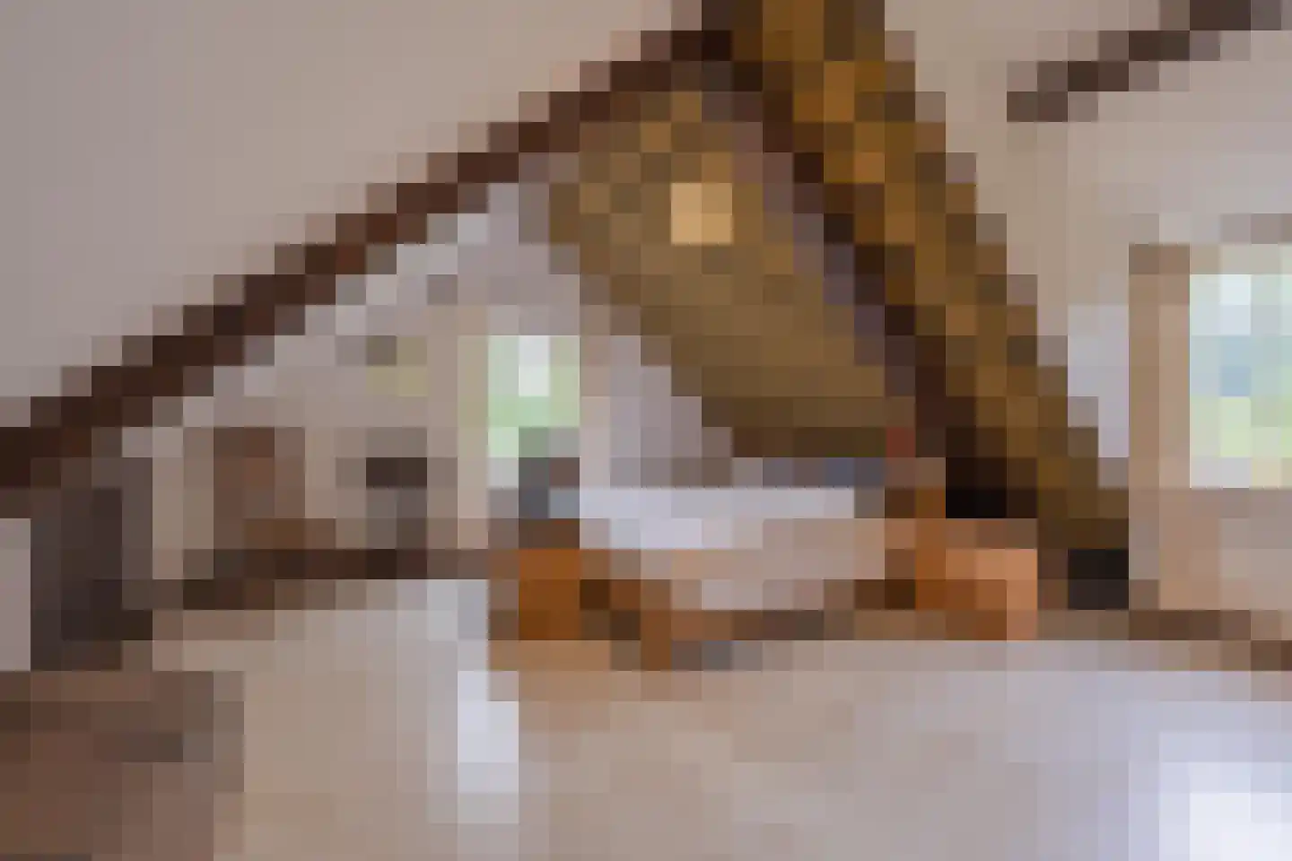 Kerklaan 9 Heesselt thumbnail 47