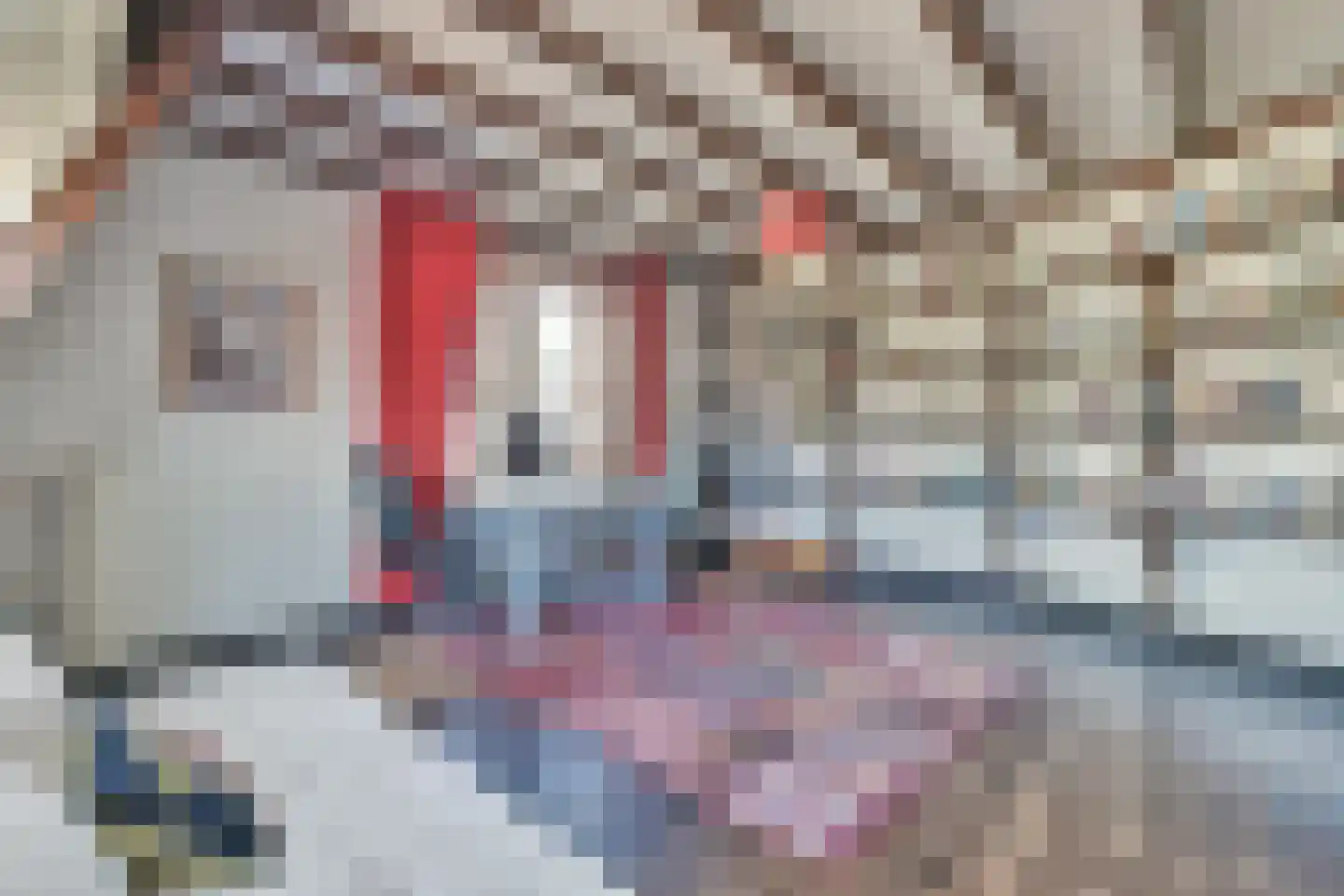Kerklaan 9 Laren thumbnail 20