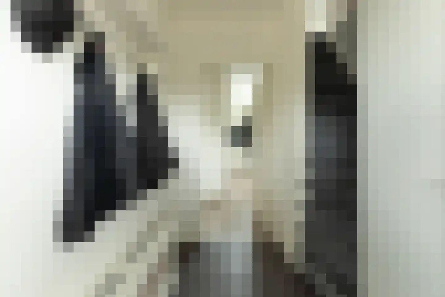 Kerklaan 93 Kortenhoef thumbnail 13