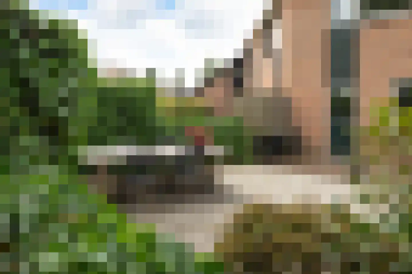 Kerklaan 93 Kortenhoef thumbnail 5