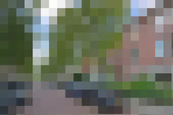 Kerklaan 99 Rijswijk thumbnail 41