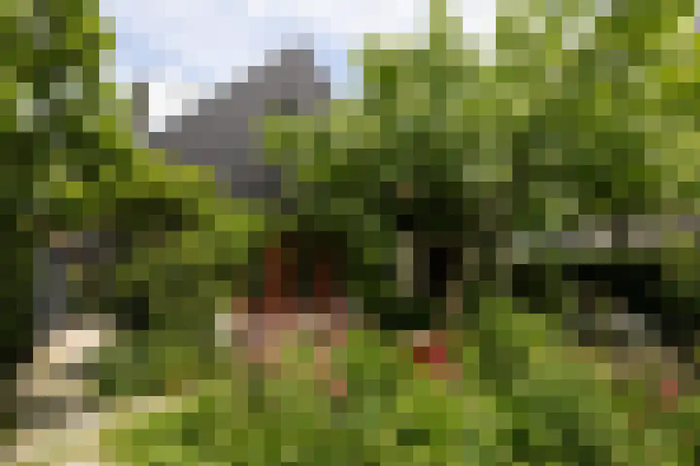 Kerklaan Zunderdorp 23 Amsterdam