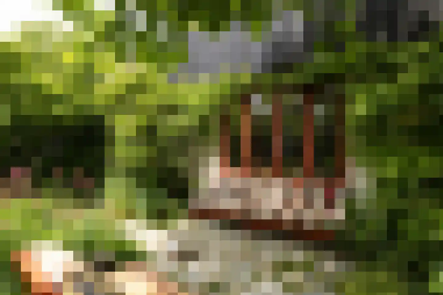 Kerklaan Zunderdorp 23 Amsterdam thumbnail 19