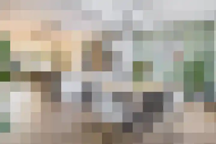 Kerkloop 15 Eersel thumbnail 10