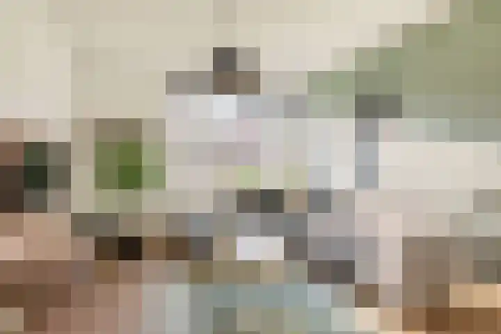 Kerkloop 15 Eersel thumbnail 8