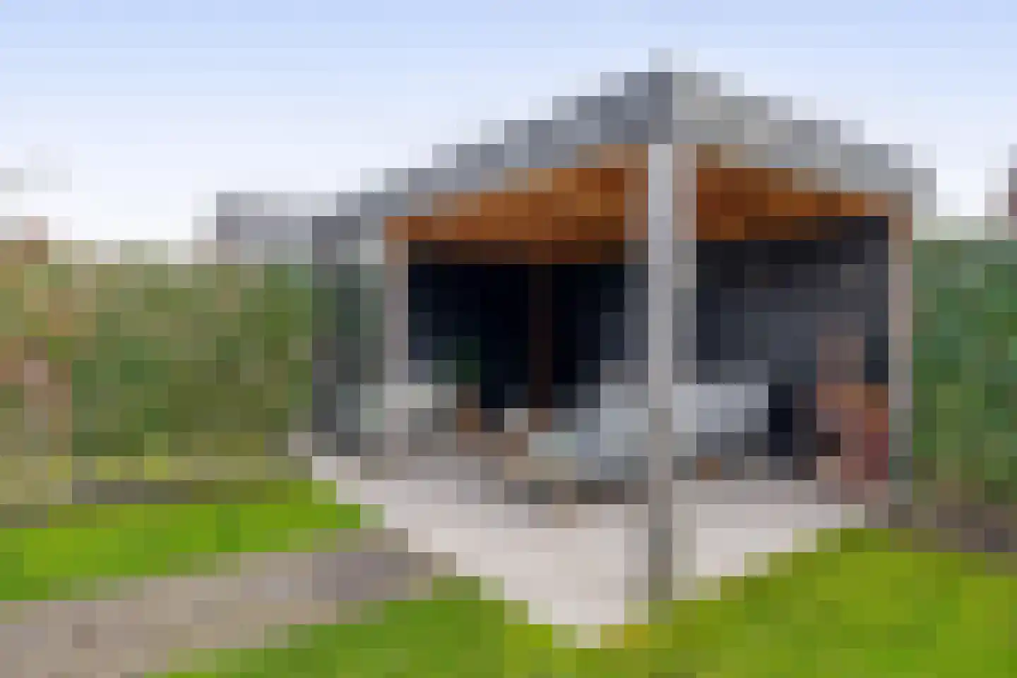 Kerkloop 42 Eersel thumbnail 33