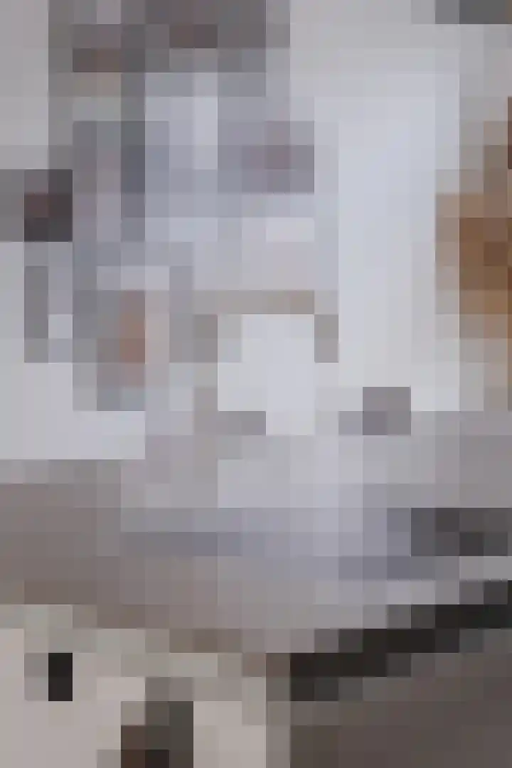 Kerkloop 6 Eersel thumbnail 12