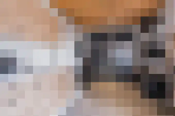 Kerkloop 6 Eersel thumbnail 20