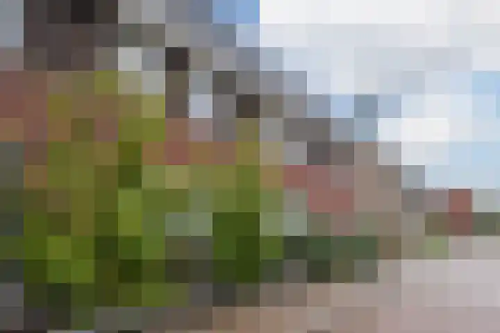 Kerkloop 6 Eersel thumbnail 42