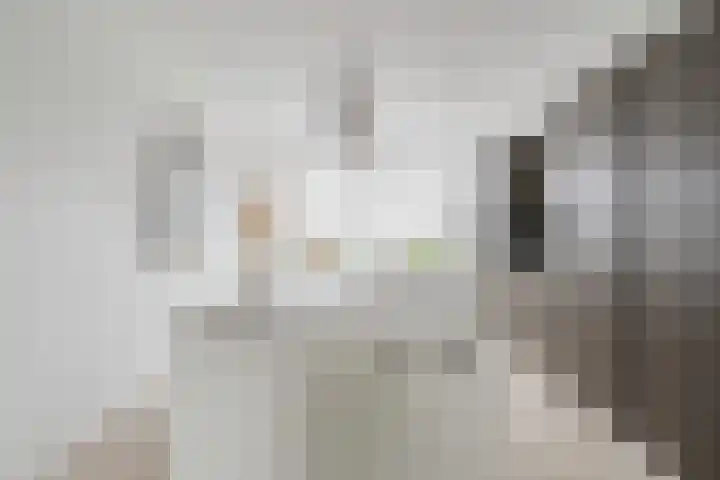 Kerkloop 6 Eersel thumbnail 8