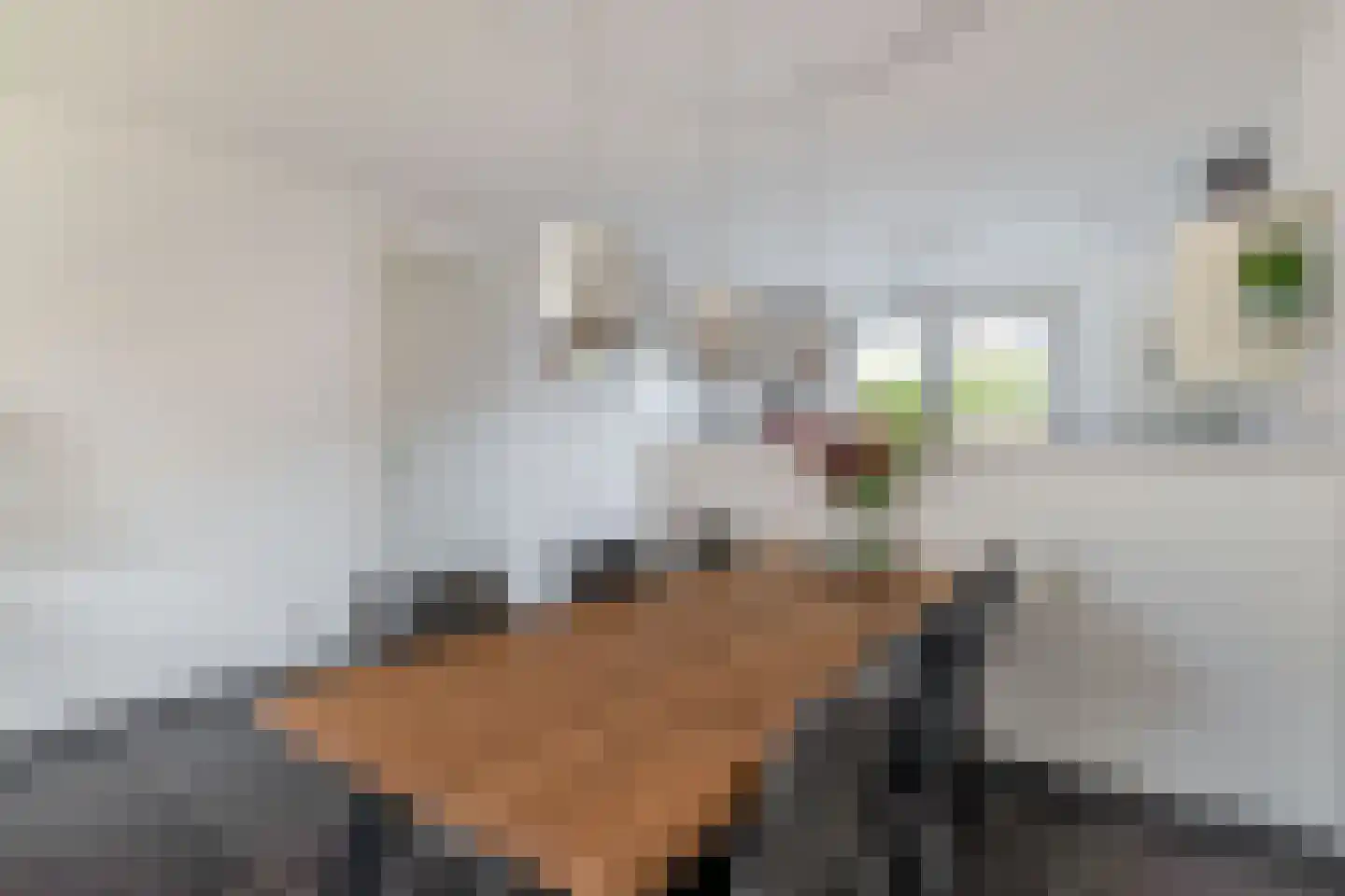 Kerkloop 9 Eersel thumbnail 11
