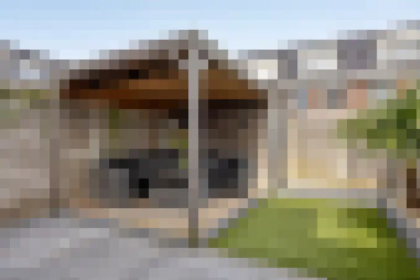 Kerkmeestersland 36 Den Hoorn thumbnail 13
