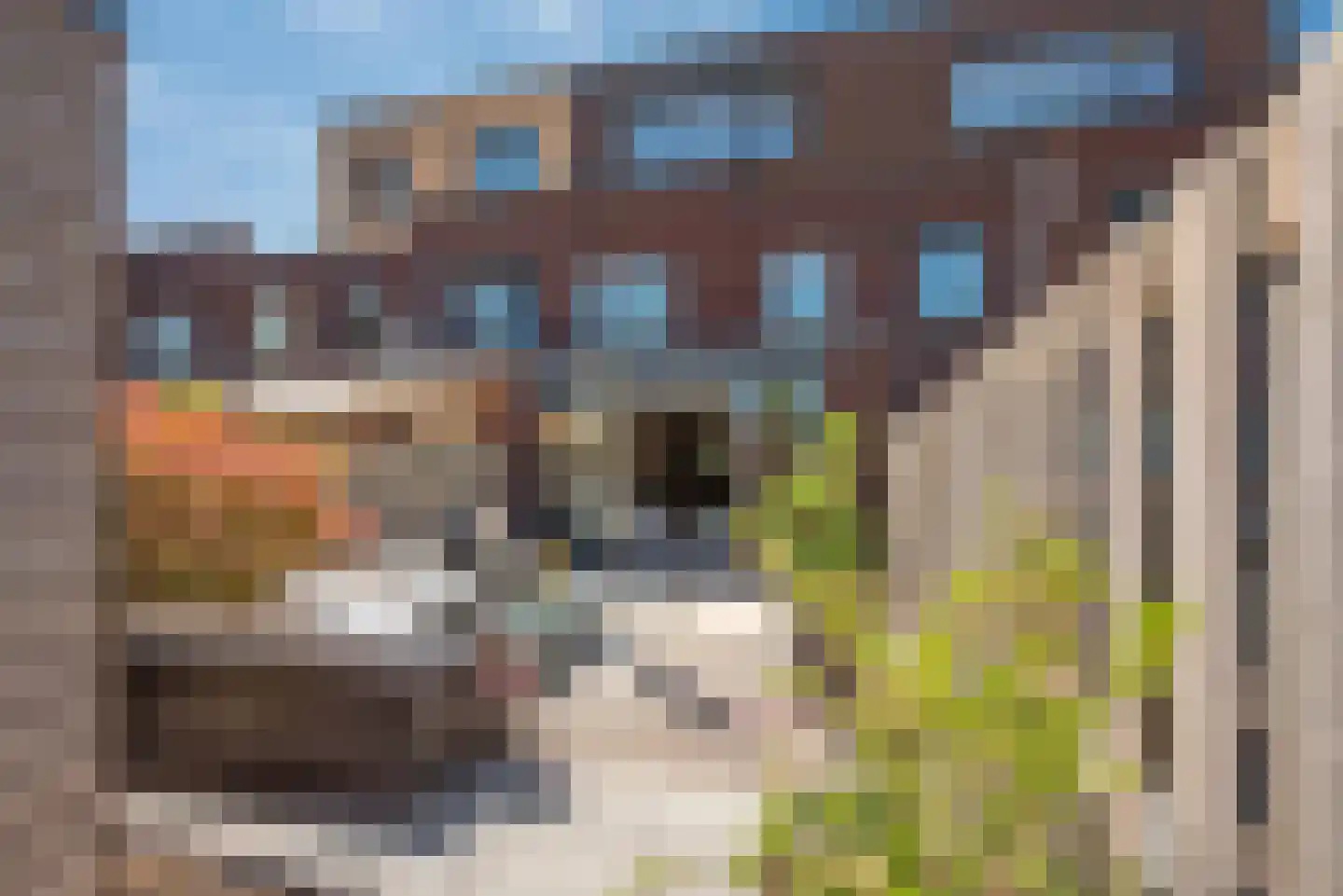 Kerkmeesterstraat 14 Delfgauw thumbnail 17