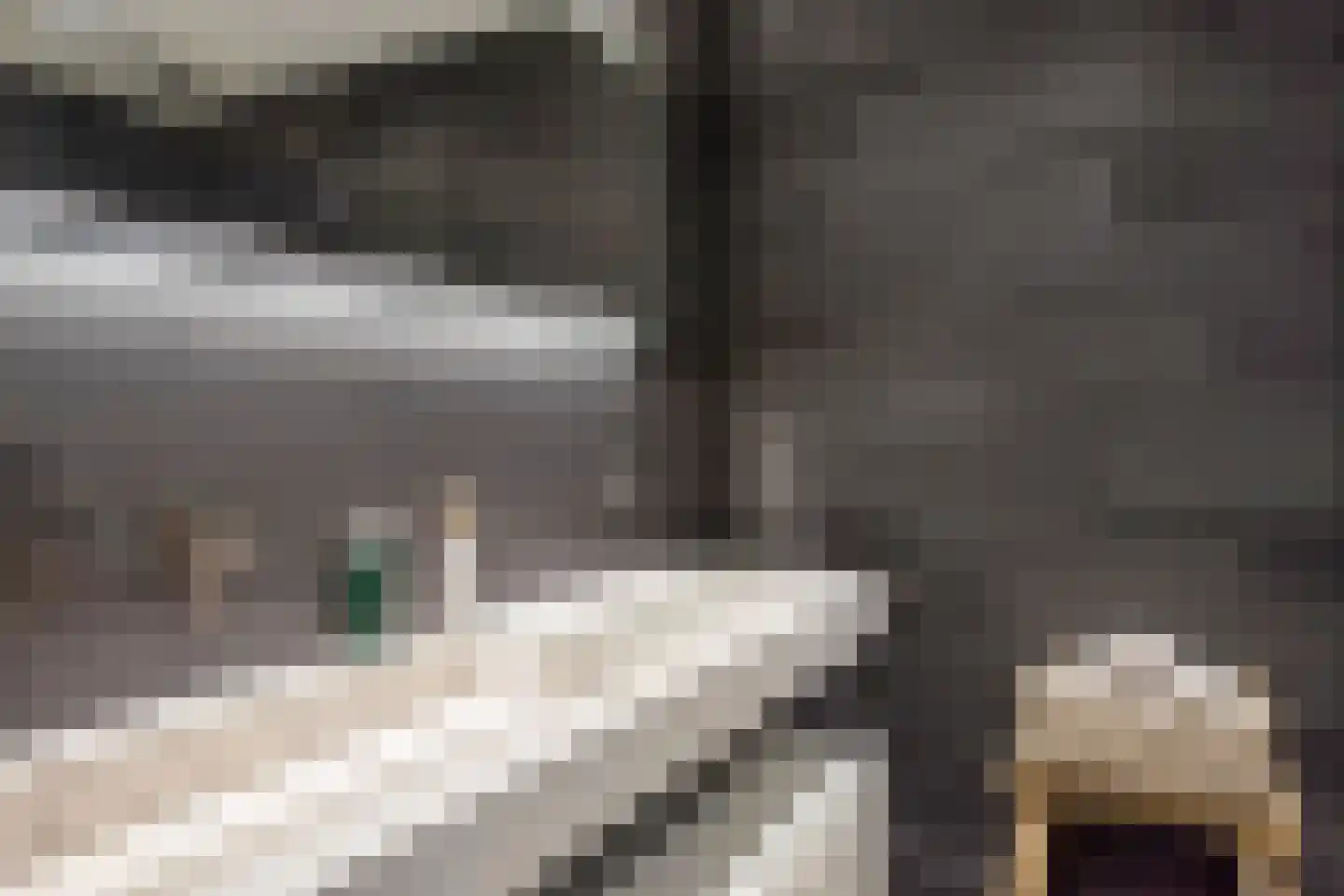 Kerkmeesterstraat 14 Delfgauw thumbnail 30
