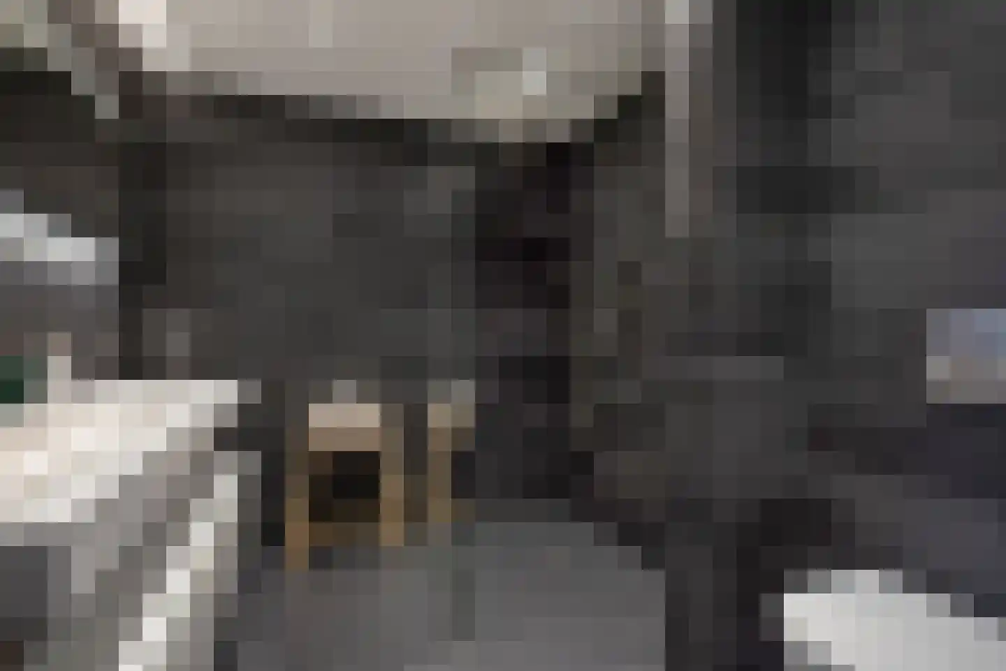Kerkmeesterstraat 14 Delfgauw thumbnail 4