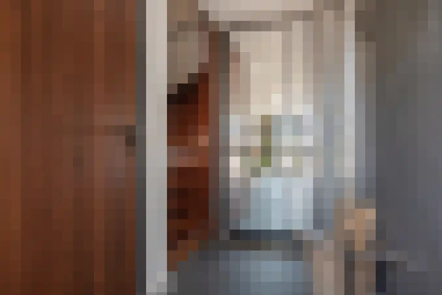 Kerkmeesterstraat 14 Delfgauw thumbnail 8