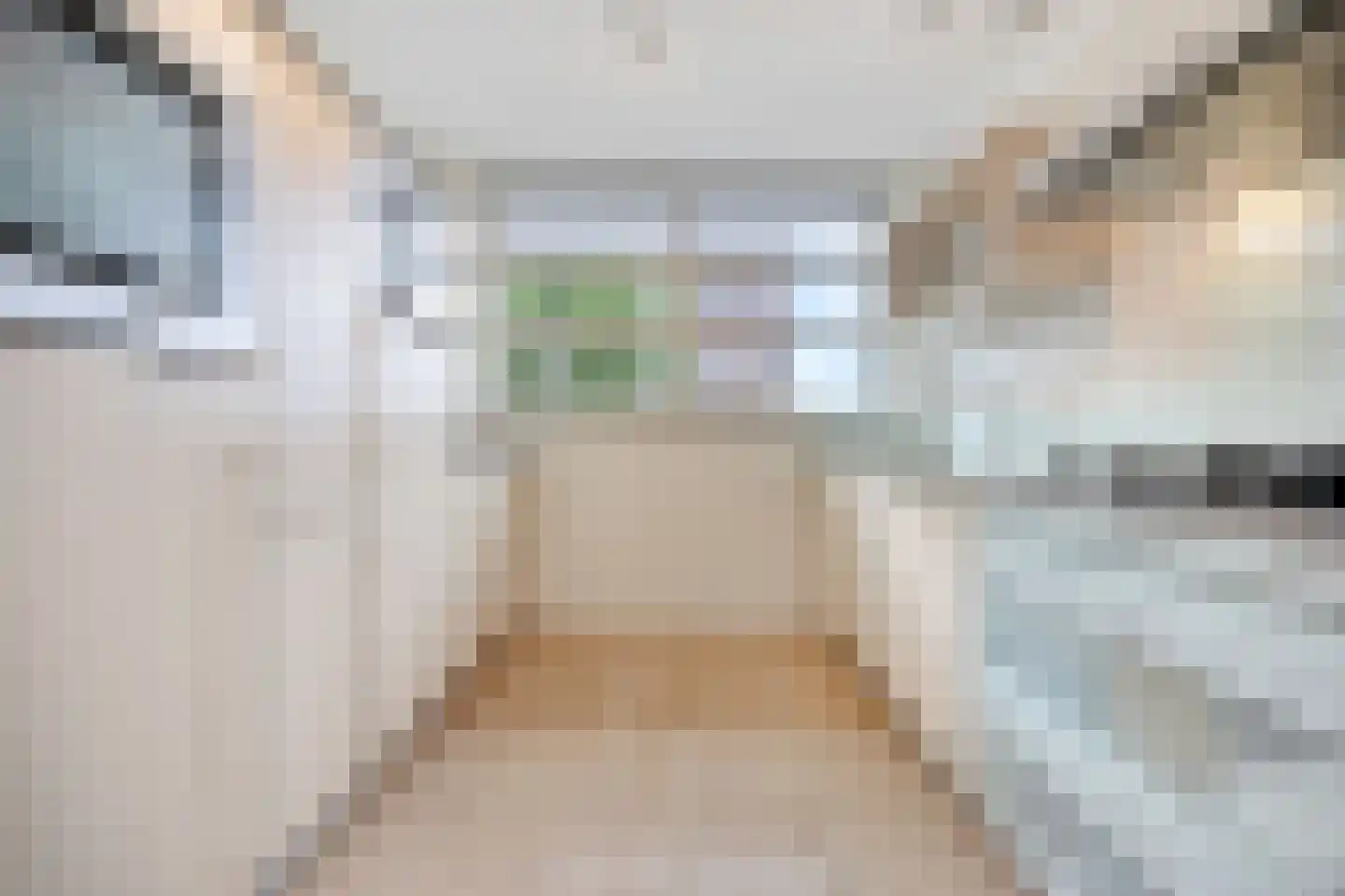 Kerkmeesterstraat 26 Delfgauw thumbnail 19