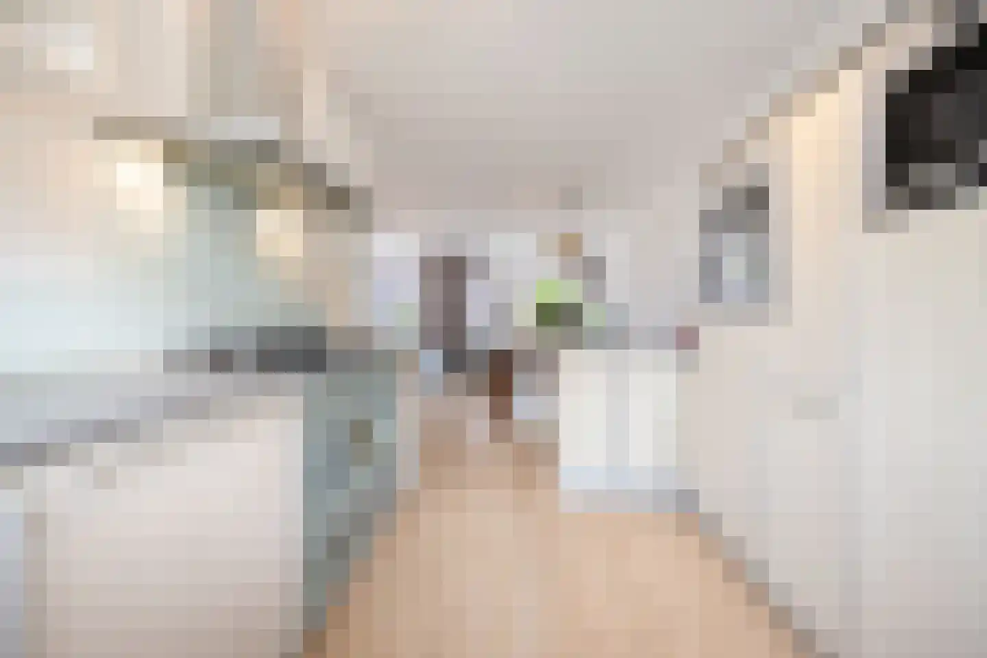 Kerkmeesterstraat 26 Delfgauw thumbnail 20