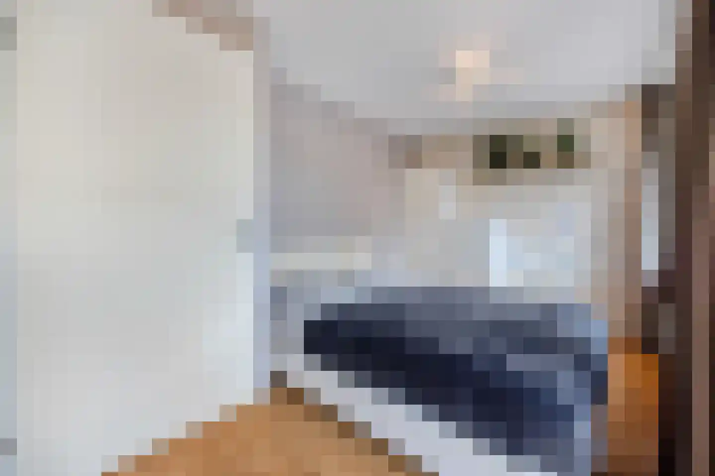 Kerkmeesterstraat 26 Delfgauw thumbnail 22