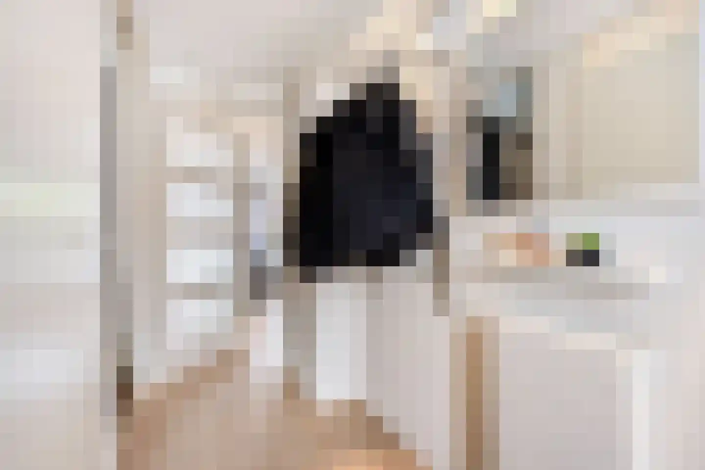 Kerkmeesterstraat 26 Delfgauw thumbnail 8