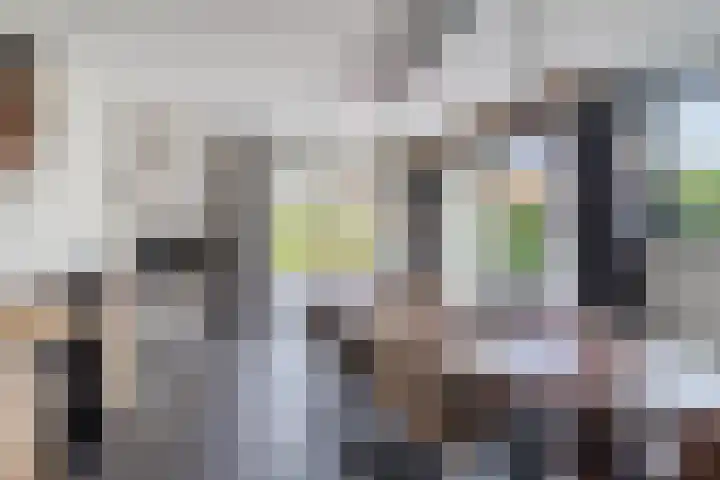 Kerkmeesterstraat 4 Delfgauw thumbnail 8