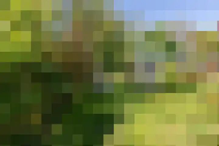 Kerkpad 1 Hallum thumbnail 15