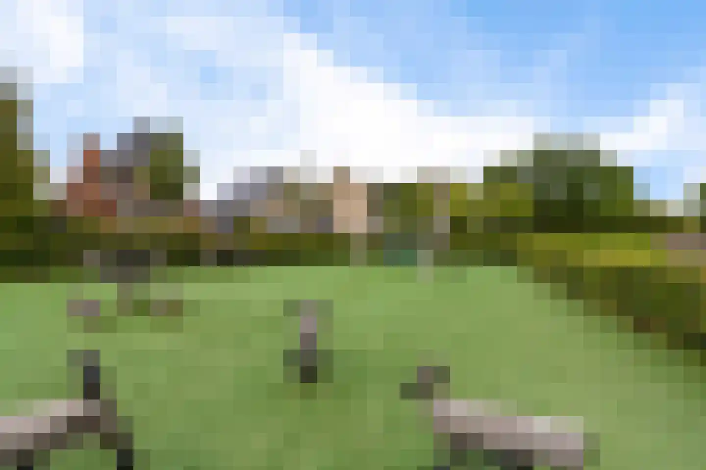 Kerkpad 1 Herpen thumbnail 45