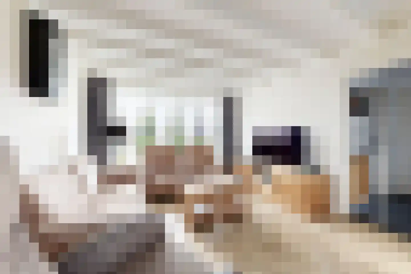 Kerkpad 1 Zevenbergschen Hoek thumbnail 10