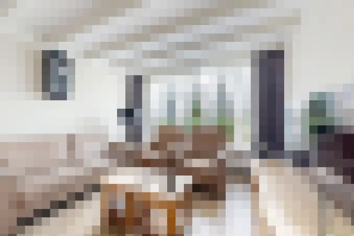 Kerkpad 1 Zevenbergschen Hoek thumbnail 11